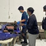 WhatsApp Image 2025 06 10 at 15.29.48 23e654ac