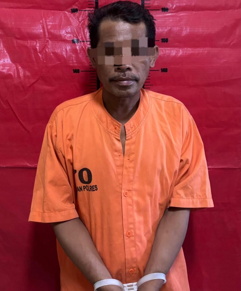 WhatsApp Image 2025 06 11 at 15.36.22 1da07b47 1