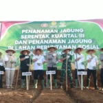 Dukung Swasembada Pangan Nasional, Polres Sukabumi Tanam Jagung Serentak di Lahan Perhutanan Simpenan 3 IMG 20250710 WA0023 3186786051