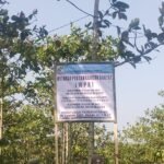 WhatsApp Image 2025 07 01 at 10.56.10 11b6a8a2