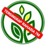 WhatsApp Image 2025 07 04 at 11.20.52 886f9b05