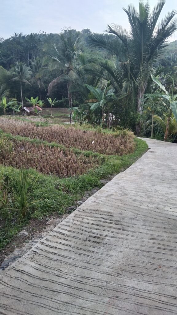 WhatsApp Image 2025 07 18 at 09.09.49 e64e41fb