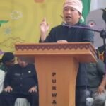 WhatsApp Image 2025 08 03 at 19.14.46 bf55b49b