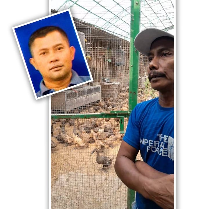 Dari Asap Rokok Jadi Berkah! Abah Mujiadi Sulap Keuntungan Usaha Jadi UMKM Mandiri dan Ternak Bebek Penghasil 700 Telur/Hari! 1 WhatsApp Image 2025 08 07 at 22.08.05 34c41d52