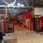 Bumdesa Triunsa Dorong Ketahanan Pangan Lewat Program Peternakan Kambing di Desa Cisitu 3 WhatsApp Image 2025 09 06 at 18.51.13 b57f76cb