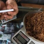 rokok tembakau tingwe 8 169 1