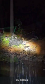 Screenshot 2025 10 22 083613