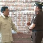 WhatsApp Image 2025 10 20 at 18.53.26 1