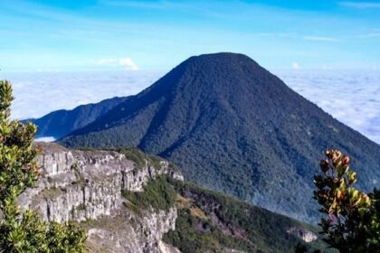 Gunung Gede Pangrango Resmi Ditutup untuk Pendakian: TNGGP Fokus Pulihkan Ekosistem dan Tata Kelola Wisata Alam 9 gunung gede 169