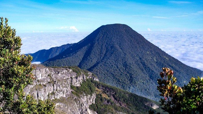 Gunung Gede Pangrango Resmi Ditutup untuk Pendakian: TNGGP Fokus Pulihkan Ekosistem dan Tata Kelola Wisata Alam 1 gunung gede 169