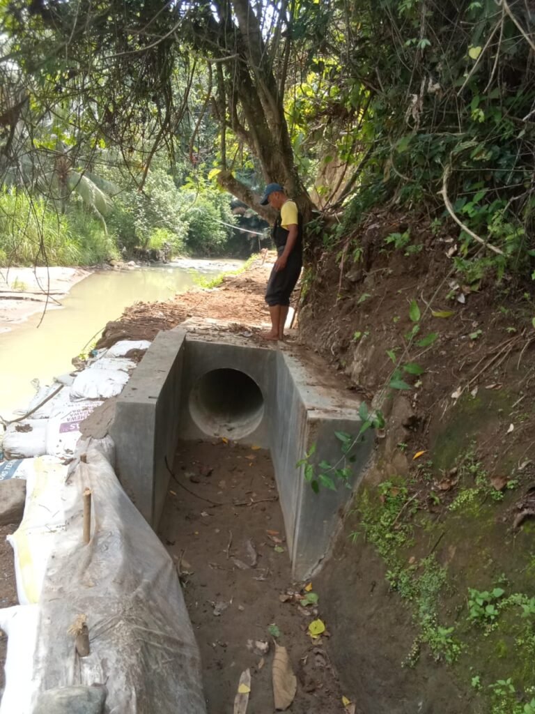 WhatsApp Image 2025 11 01 at 13.04.23