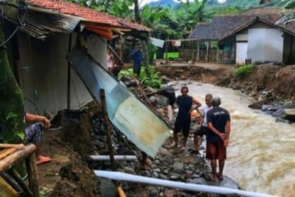 WhatsApp Image 2025 11 11 at 21.40.52