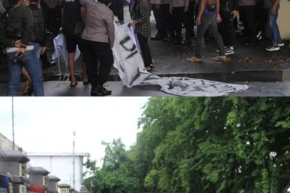 WhatsApp Image 2025 12 09 at 19.52.00