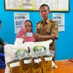 WhatsApp Image 2025 12 09 at 20.36.29