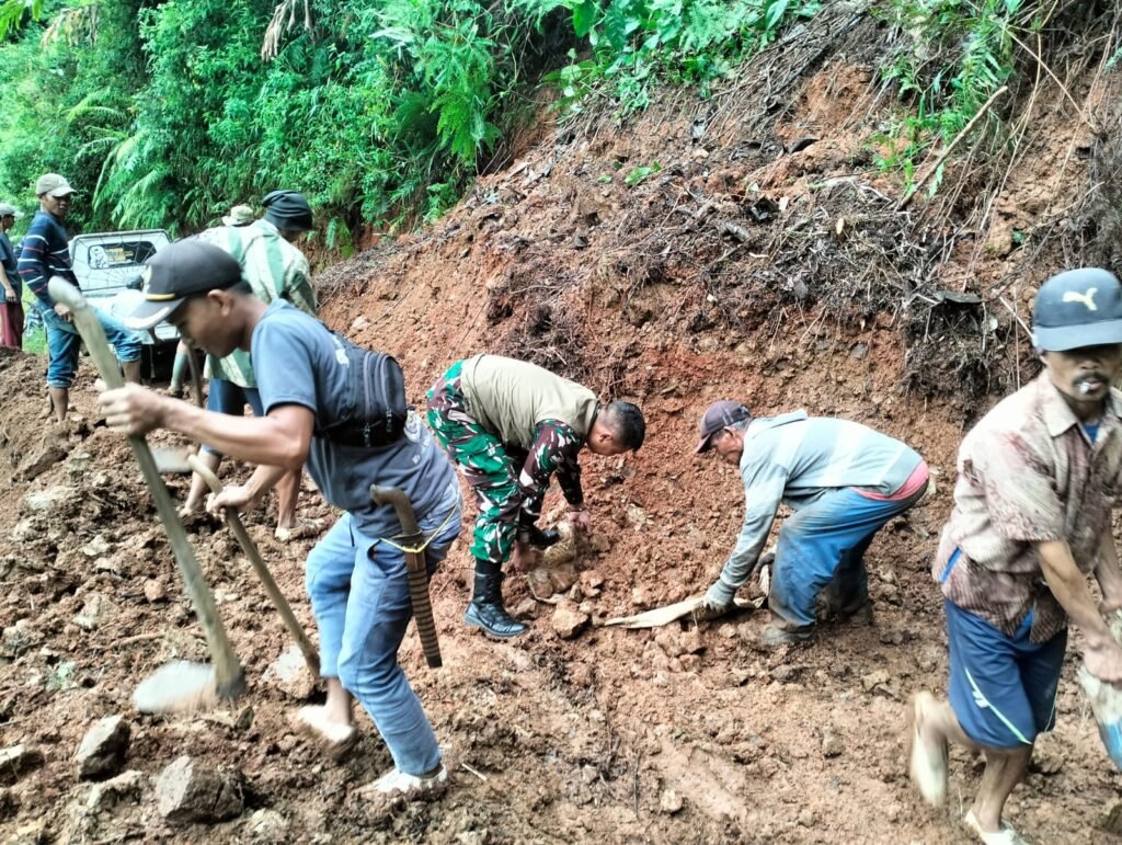 WhatsApp Image 2025 12 13 at 07.56.46