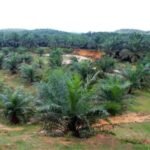 WhatsApp Image 2025 12 31 at 7.23.15 AM