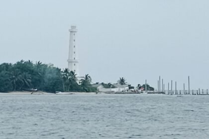 WhatsApp Image 2026 01 02 at 22.31.31