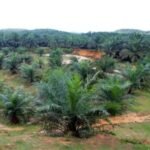 WhatsApp Image 2026 01 05 at 11.24.48