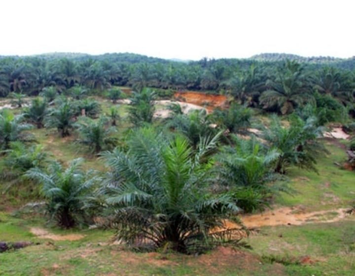 WhatsApp Image 2026 01 05 at 11.24.48