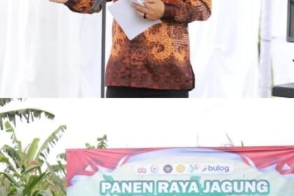 Panen Raya Jagung Serentak Kuartal I, Wabup Sukabumi Tegaskan Kolaborasi Kunci Kemandirian Pangan 9 WhatsApp Image 2026 01 08 at 19.07.34