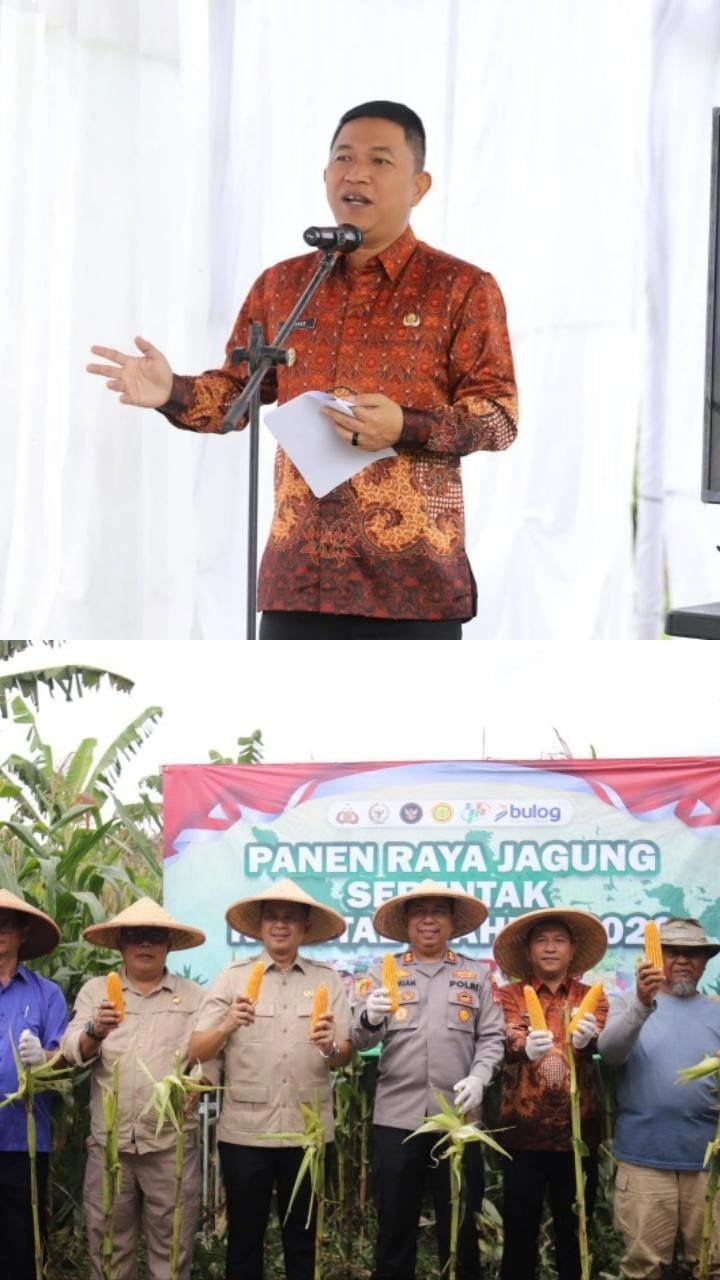 WhatsApp Image 2026 01 08 at 19.07.34