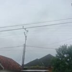 WhatsApp Image 2026 01 17 at 11.11.16