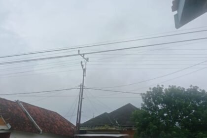 WhatsApp Image 2026 01 17 at 11.11.16