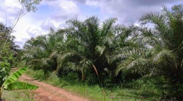 WhatsApp Image 2026 01 23 at 7.04.44 PM