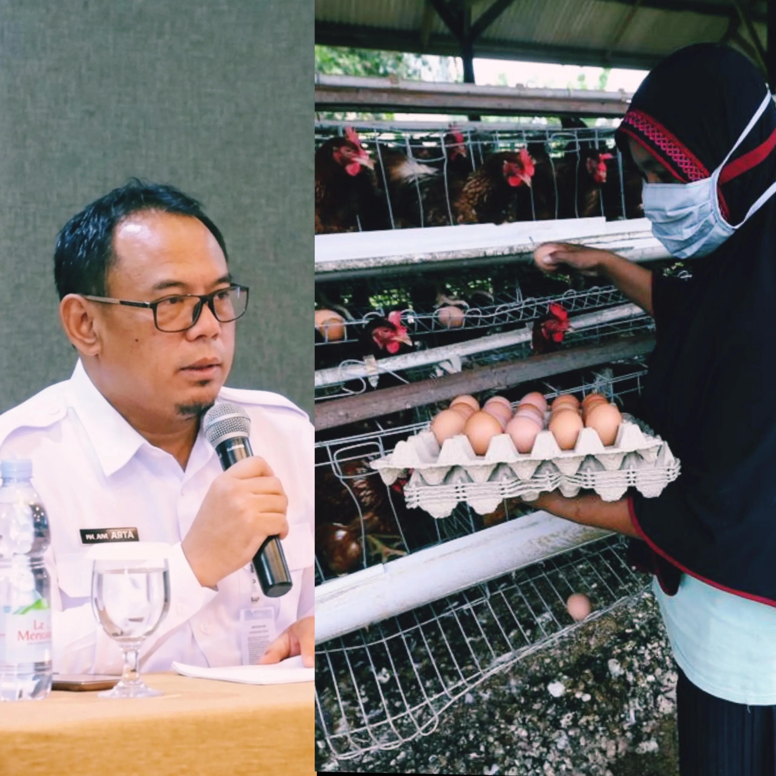 Isu Flu Burung Mencuat, Dinas Pastikan Unggas Sukabumi Tetap Aman 1 GridArt 20260227 124118625 scaled 1