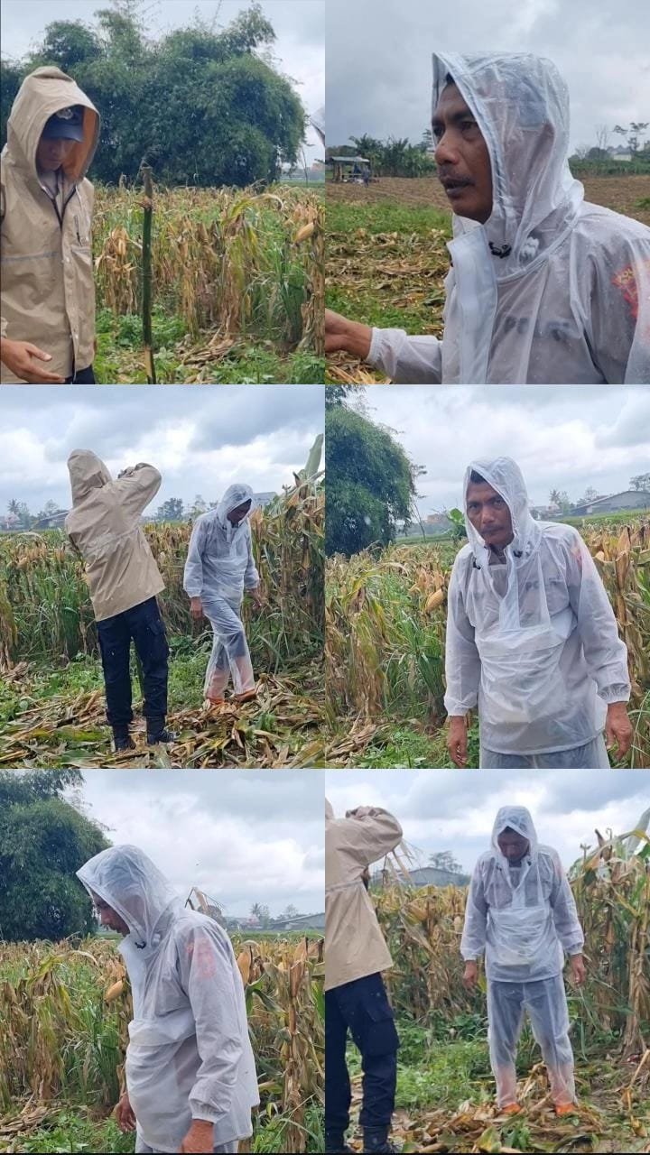 Komitmen Kapolsek Cangkuang Dukung Program Ketahanan Pangan melalui Swasembada Jagung Hibrida 1 WhatsApp Image 2026 02 07 at 17.56.31