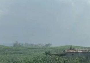 JWI Sukabumi Raya Desak BPN Cabut HGU PT Panyindangan, Diduga Tak Penuhi Kewajiban Plasma untuk Masyarakat 5 WhatsApp Image 2026 03 12 at 22.58.41