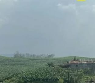 WhatsApp Image 2026 03 12 at 22.58.41