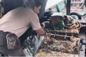 WhatsApp Image 2026 03 15 at 6.27.01 PM