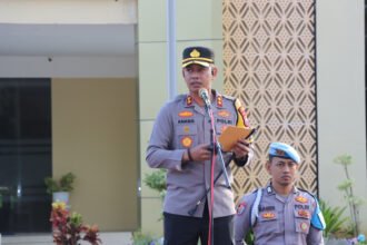 WhatsApp Image 2026 03 19 at 8.40.10 PM 1