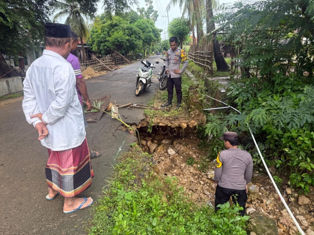 WhatsApp Image 2026 03 23 at 12.50.39