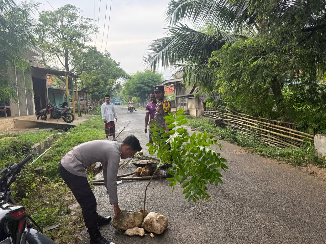 WhatsApp Image 2026 03 23 at 12.50.40