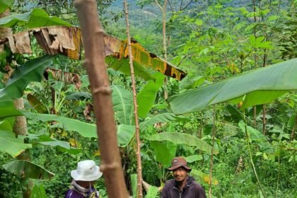 KETUA DPD JWI SUKABUMI RAYA TUNTUT AUDIT TOTAL PTPN: "9.000 HEKTAR HGU MATI, NEGARA DIRAMPOK, RAKYAT DIZALIMI " 32 WhatsApp Image 2026 04 12 at 1.20.15 PM