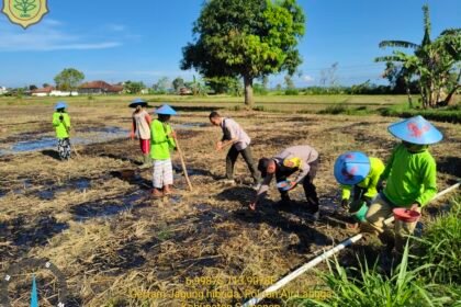 Wujud Nyata Dukung Ketahanan Pangan, Kanit Binmas Polsek Gapura Turun Tanam Jagung 6 WhatsApp Image 2026 04 22 at 5.44.52 PM