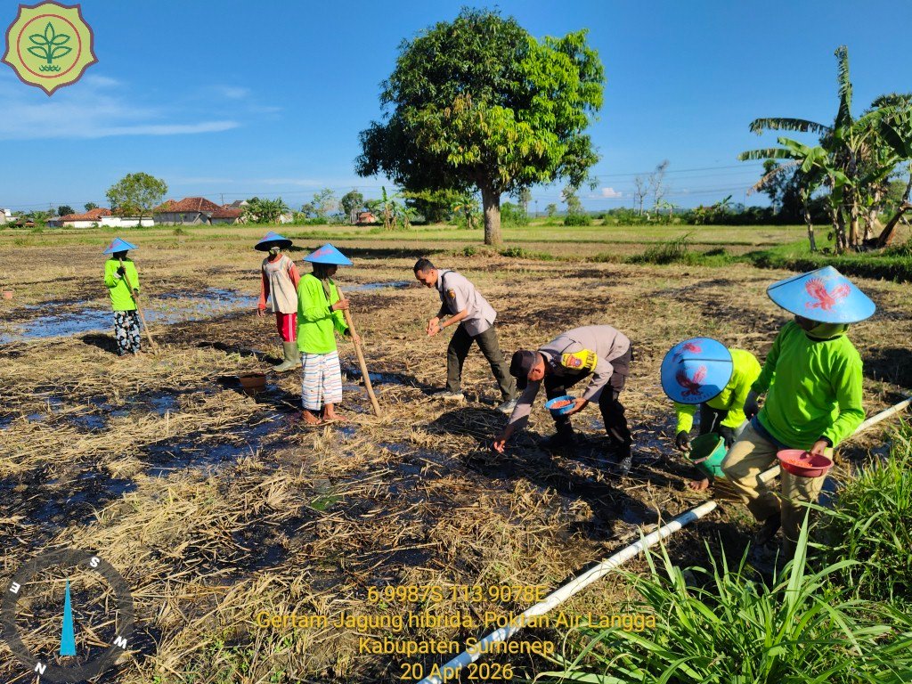 Wujud Nyata Dukung Ketahanan Pangan, Kanit Binmas Polsek Gapura Turun Tanam Jagung 1 WhatsApp Image 2026 04 22 at 5.44.52 PM