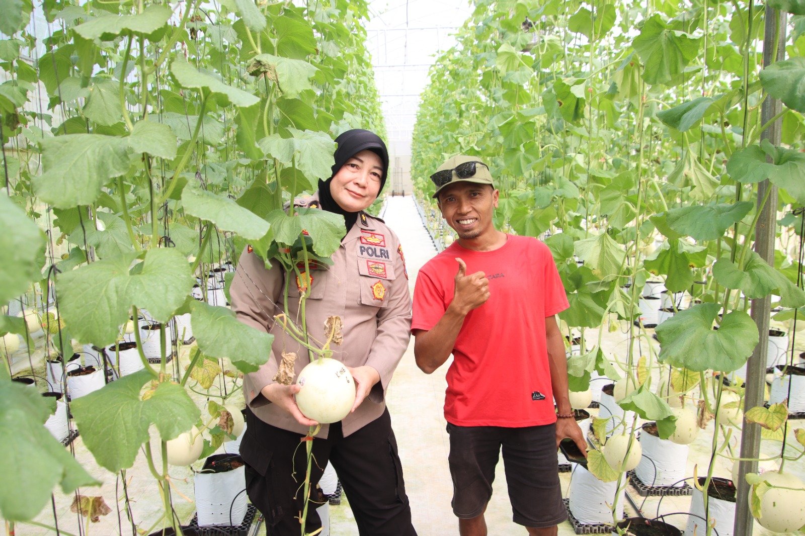 Dukung Ketahanan Pangan, Kabag SDM Polres Sumenep Tinjau Panen Melon Berbasis Smart Farming di Desa Kasengan 1 WhatsApp Image 2026 05 29 at 11.50.46