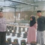 Polsek Batang-Batang Dukung Ketahanan Pangan Nasional Melalui Pemantauan Budidaya Melon Pertiwi 3 WhatsApp Image 2026 06 13 at 11.23.08 1