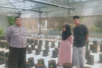 Polsek Batang-Batang Dukung Ketahanan Pangan Nasional Melalui Pemantauan Budidaya Melon Pertiwi 5 WhatsApp Image 2026 06 13 at 11.23.08 1