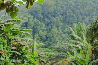 KORSA Dukung Tegas Langkah DPRD Sukabumi Tertibkan Perizinan Perkebunan Sawit, negara dan rakyat di rugikan pemegang HGU 4 WhatsApp Image 2026 06 13 at 4.54.57 PM