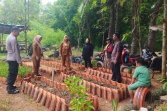 POLSEK KALIANGET DUKUNG KETAHANAN PANGAN MELALUI PENGECEKAN TANAMAN SAYURAN DI DESA KALIANGET TIMUR 4 WhatsApp Image 2026 06 14 at 9.37.31 AM